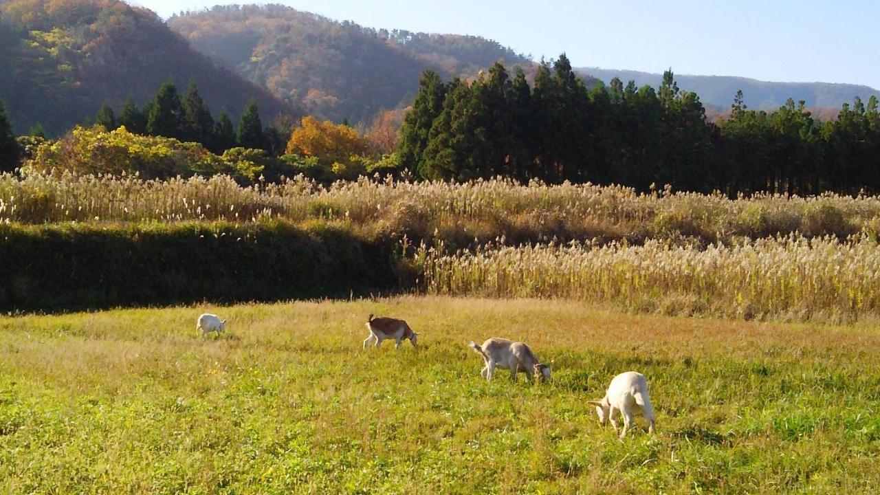 Fujii Fermier Bauernhof Fukui